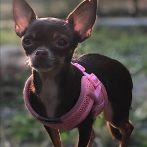 Meet your Posher, Adriana